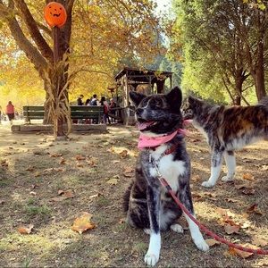 Meet your Posher, Rachael